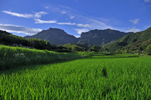 行縢山（宮崎県延岡市）