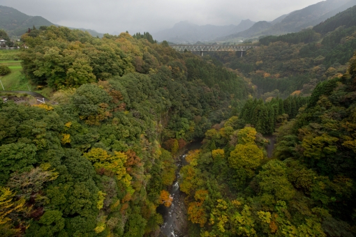 紅葉「高千穂」雲海橋より