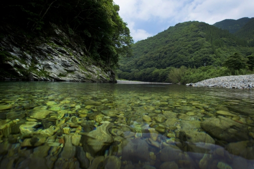 北川の支流「小川」