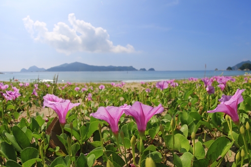 下阿蘇海水浴場